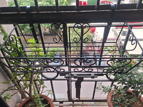 Customer photo review of UnitedCrafts Aster Railings Stand For Display of Multiple Plants Balcony Decoration