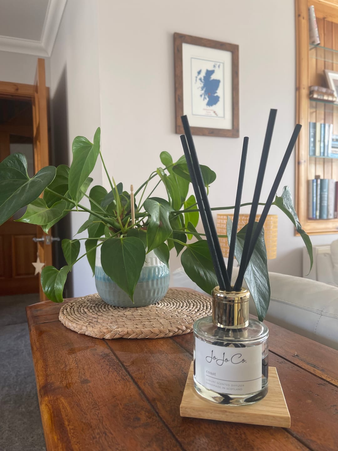Customer photo review of Coast Diffuser