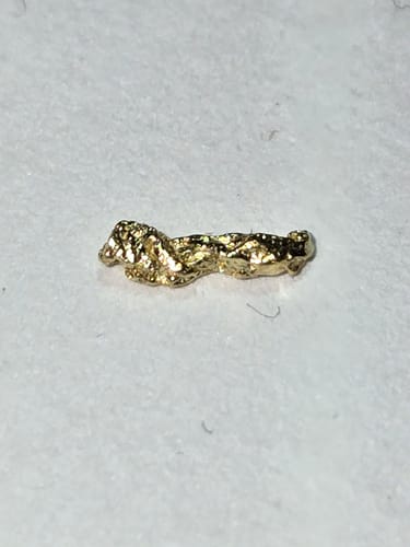 Customer photo review of *TROGO* Flawless '$5,000 GOLD NUGGET DISCOVERY' - Gold Panning Paydirt