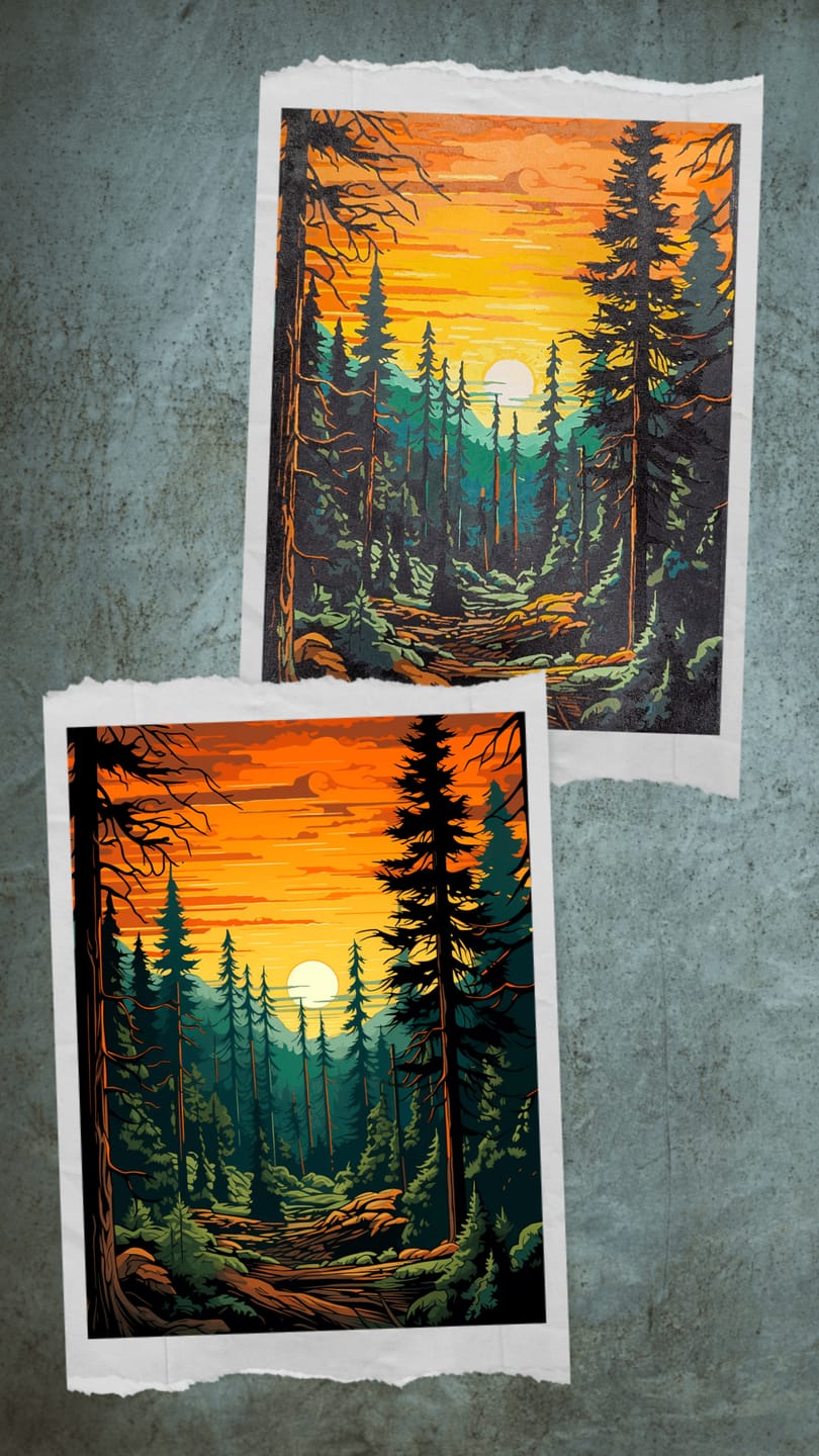 Customer photo review of Tall Trees Forest