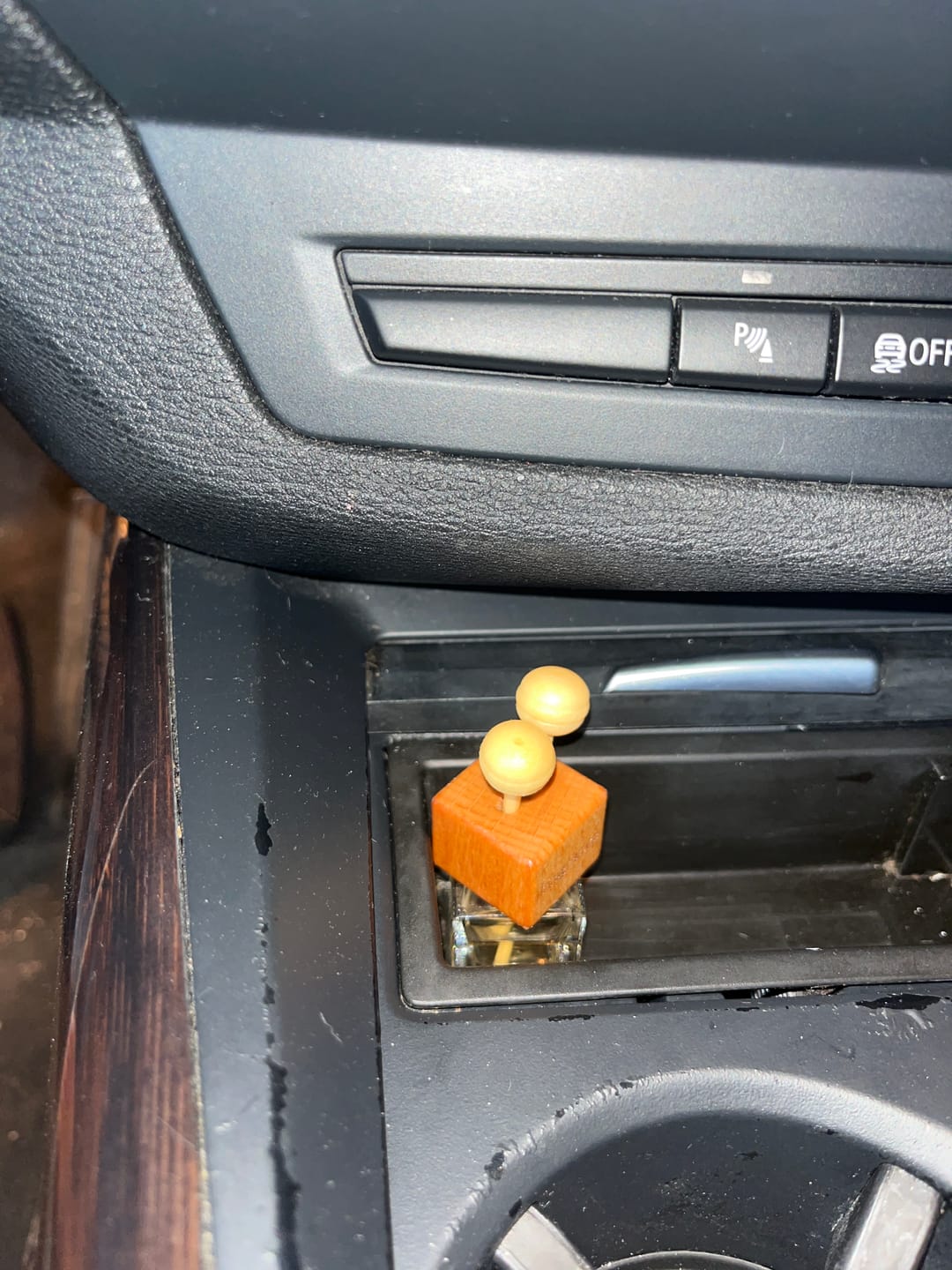 Customer photo review of Balsam & Cedar Car Freshener