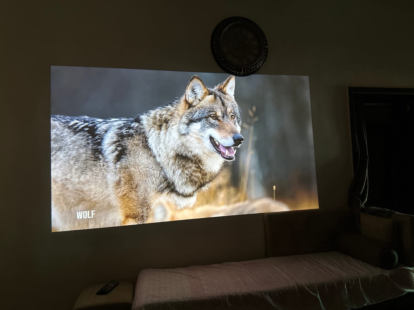 Customer photo review of Lumex Flix
