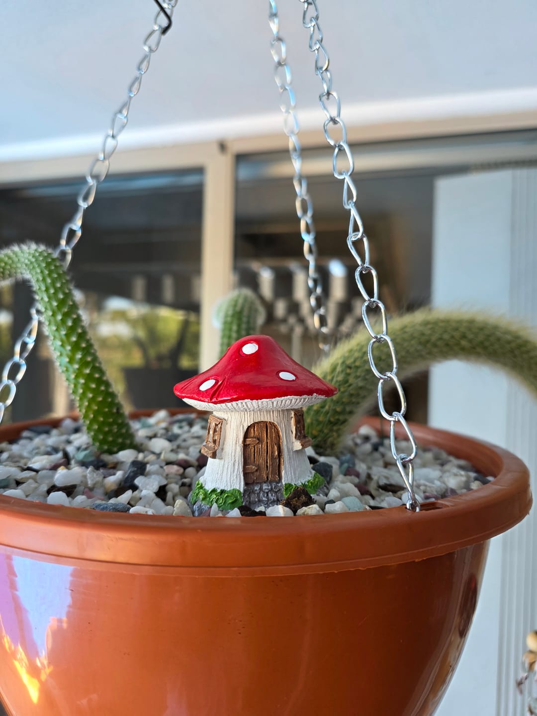 Customer photo review of Monkey Tail Cactus