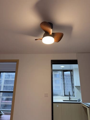 Customer photo review of WOW Small Flush Mount Ceiling Fan Lamp-wow5114