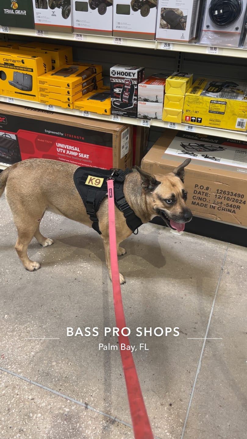 Customer photo review of Hook & Loop Patch For Harness