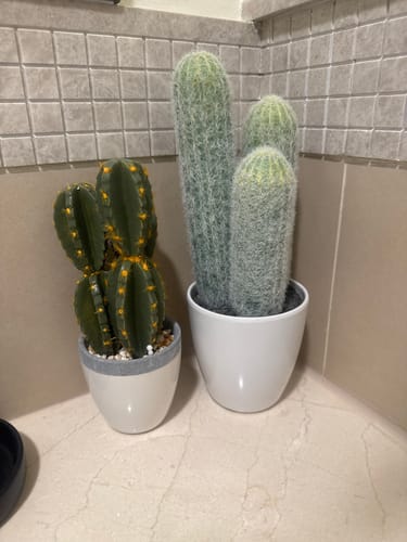 Customer photo review of Handmade   Decorative Artificial Plant+Planter Pot   P01908