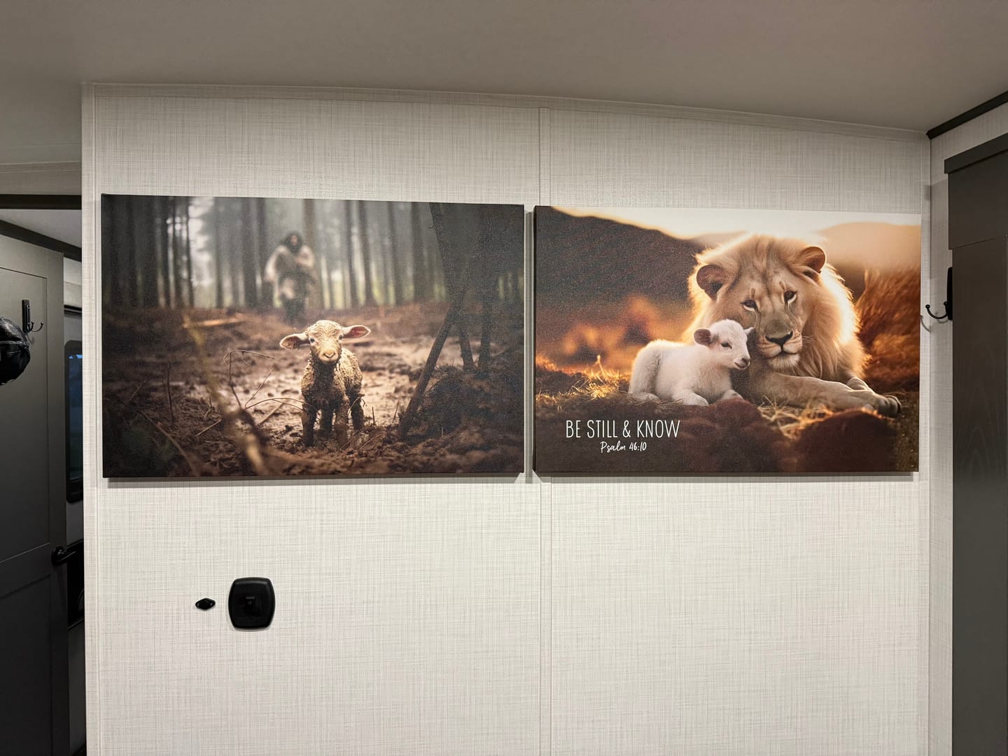 Customer photo review of Lion and Lamb, Be Still and Know Psalm 46:10, Wall Art Canvas Print
