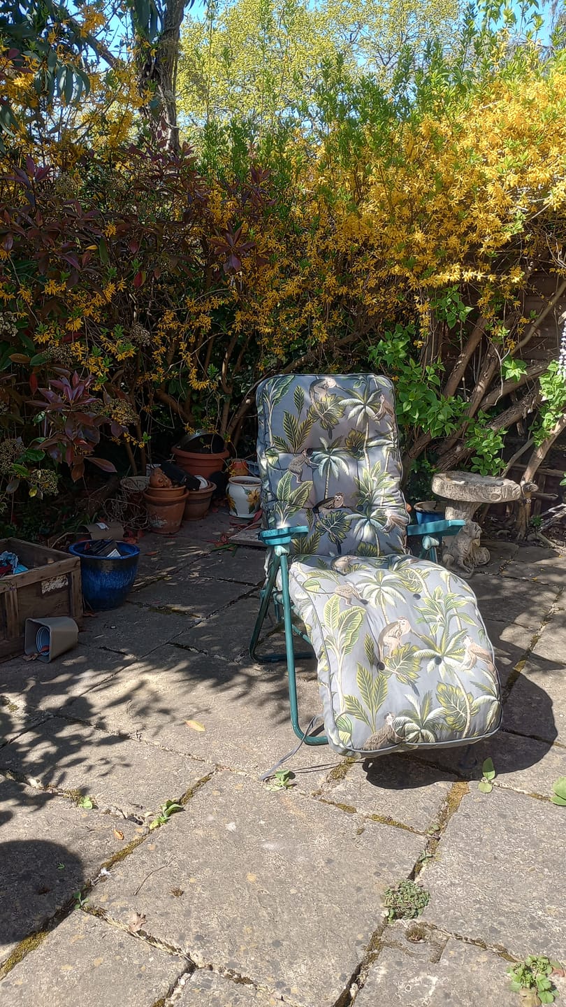 Customer photo review of Deluxe Garden Relaxer REPLACEMENT CUSHION ONLY  (pattern options available)