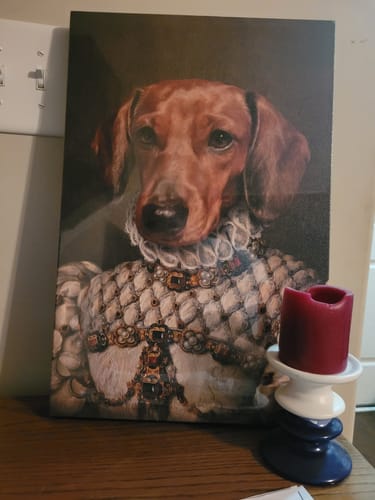 Customer photo review of Princess Pet Portrait
