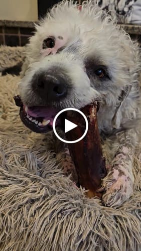 Customer video review of Smoked Beef Marrow Bone
