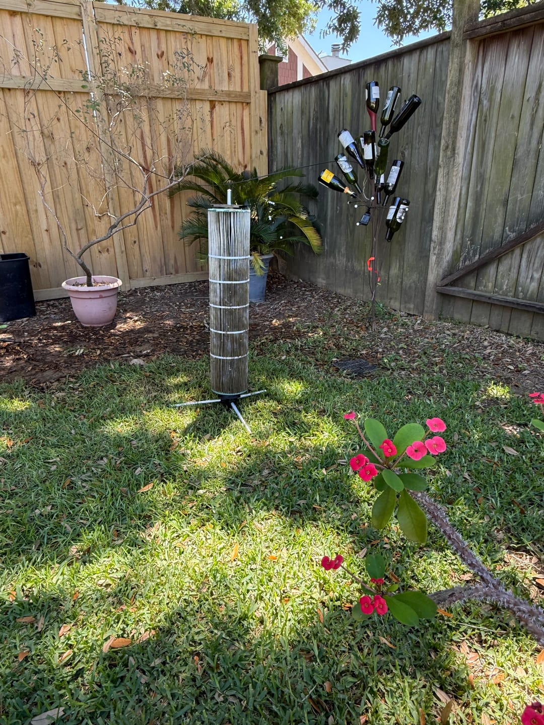 Customer photo review of Cyclone Pool Filter Cleaning System