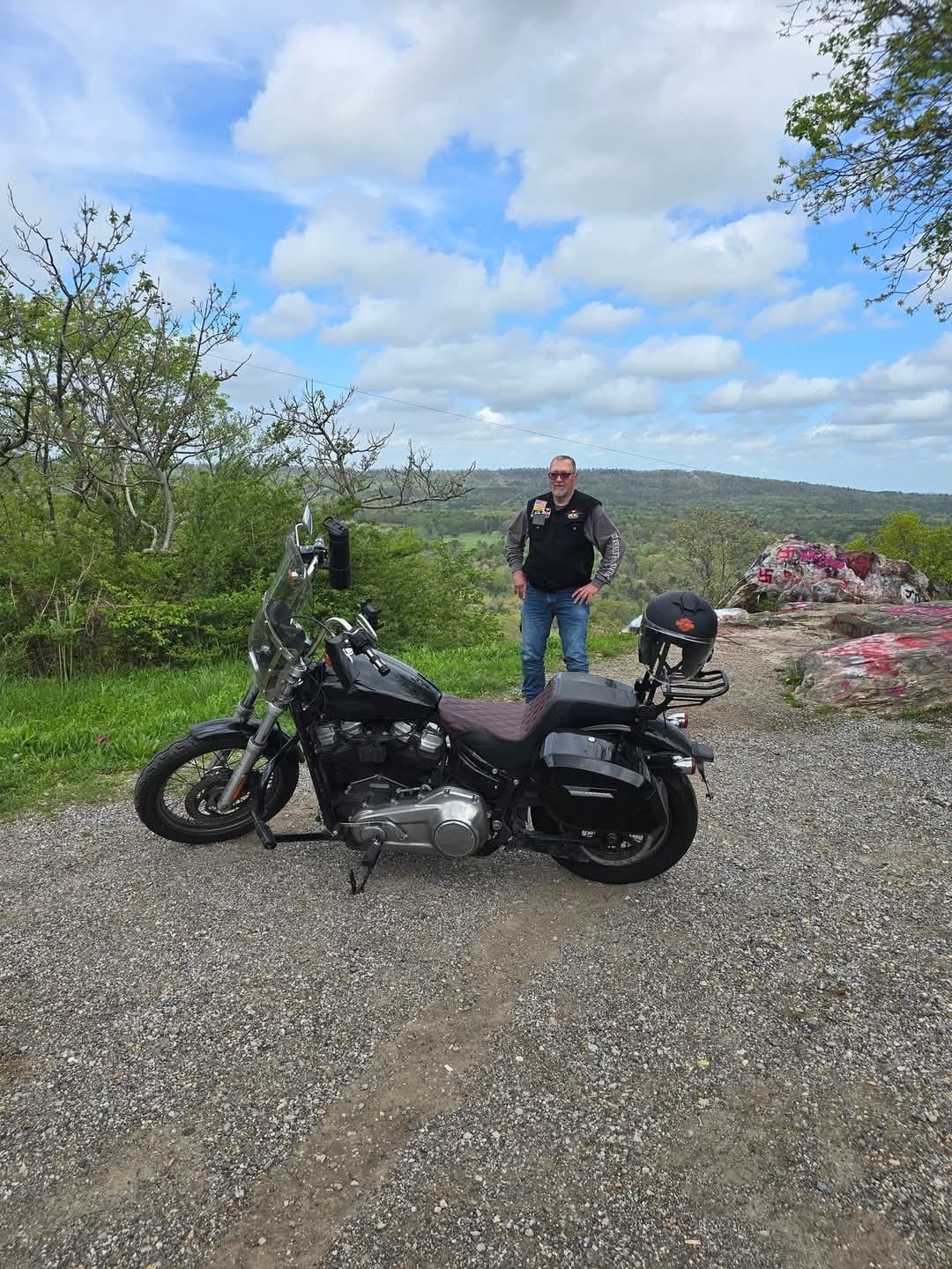 Customer photo review of 32L - Darkin Large Quick Mount Painted Hard Saddlebags for Harley Softail Standard FXST