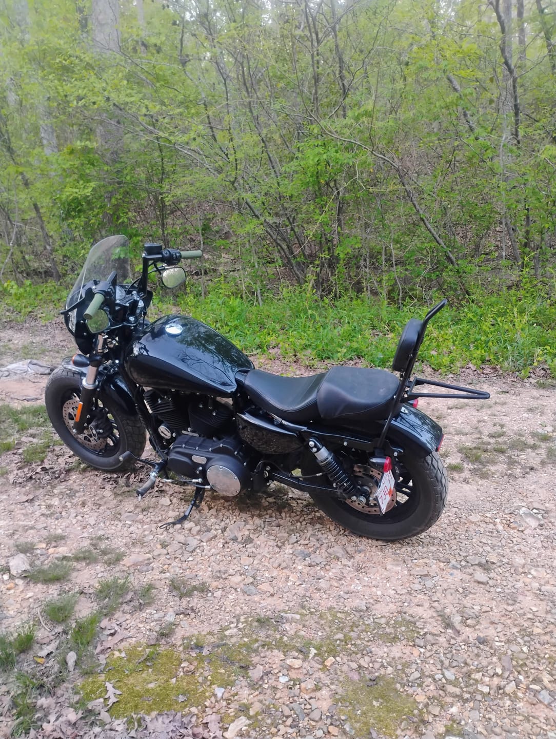 Customer photo review of Iron Born Blade 25" Sissy Bar with Foldable Luggage Rack for Harley Sportster Forty Eight Matte Black