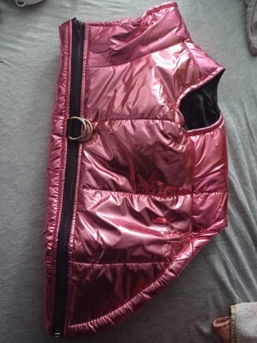 Customer photo review of Waterproof Winter Dog Jacket
