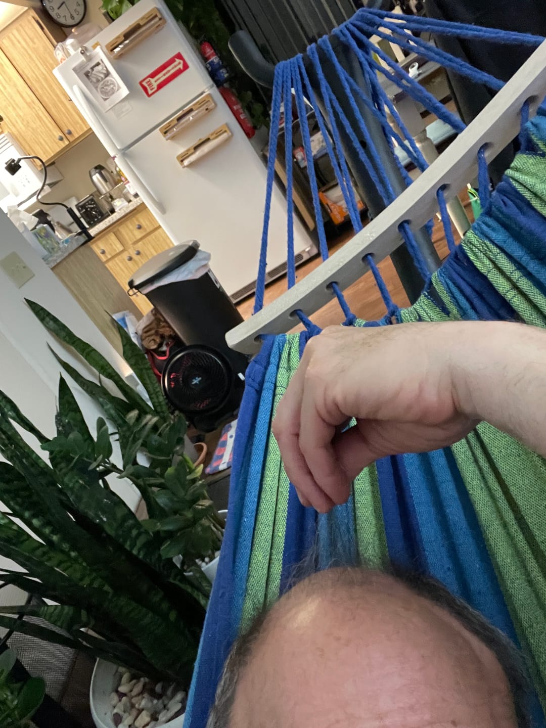 Customer photo review of SPARTAN™ - Root Activator Spray