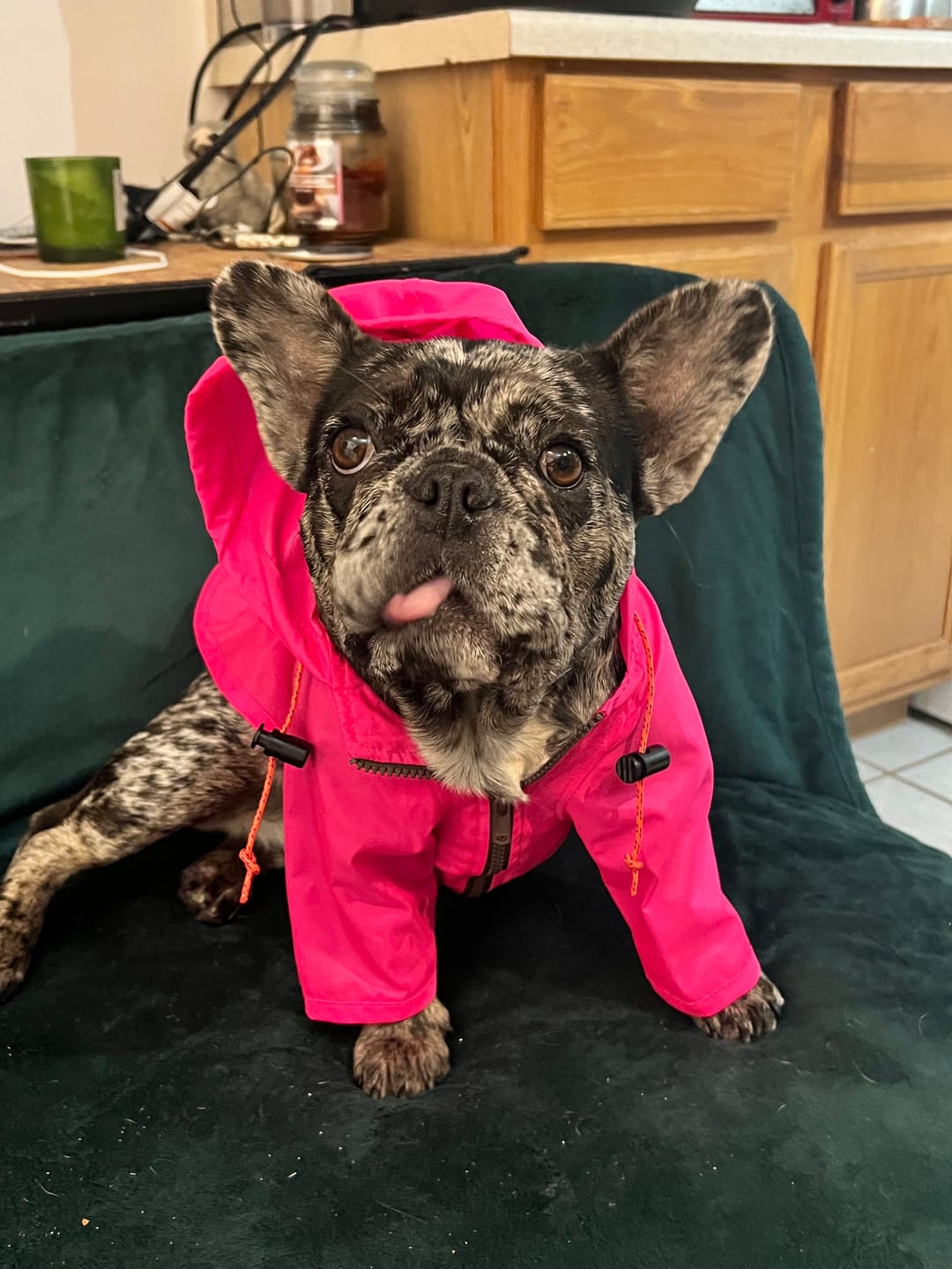 Customer photo review of Nylon Rainbreaker