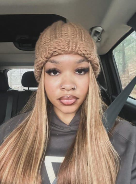 Customer photo review of MORE FACE 30inch Straight Highlight Wig 6x4 Pre-Cut Wear Go Glueless Wig Beginner Friendly