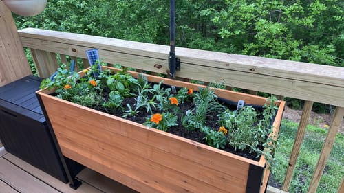 Customer photo review of 18" x 48" Raised Garden Bed - 30" TALL