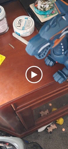 Customer video review of MegaDino