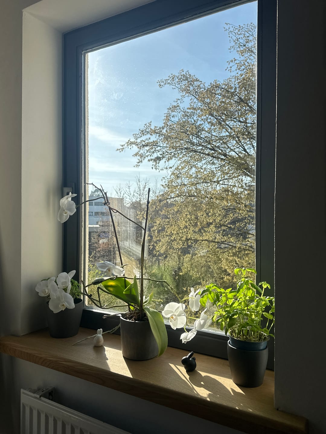 Customer photo review of Fensterbank Eiche