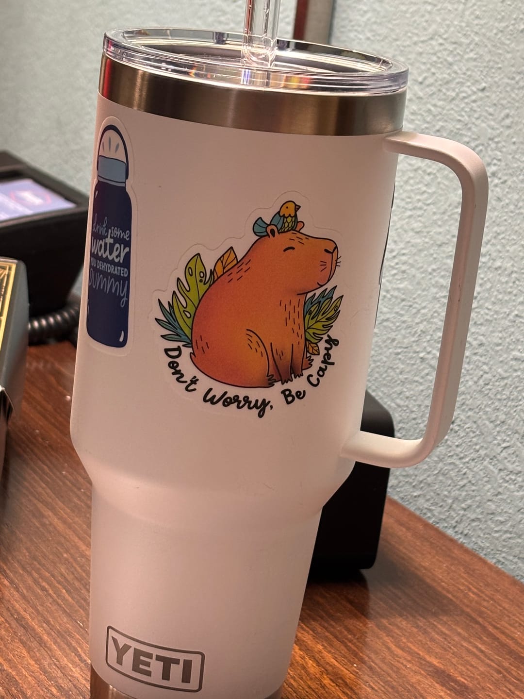 Customer photo review of "Don't Worry, Be Capy" Capybara and Bird Sticker