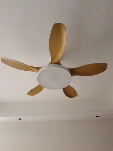 Customer photo review of WOW 5 Blade Modern Ceiling Fan Lamp-wow5129