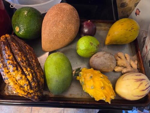 Customer photo review of Tropical Variety Box