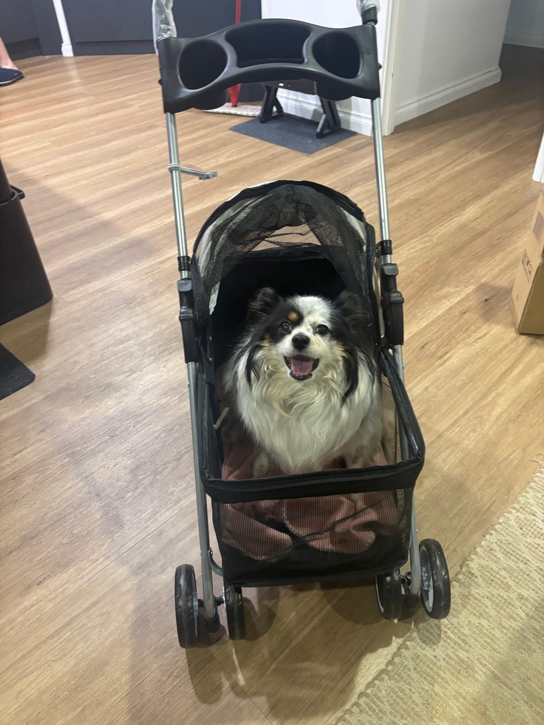 Customer photo review of Pawz Compact & Comfortable Pet Stroller