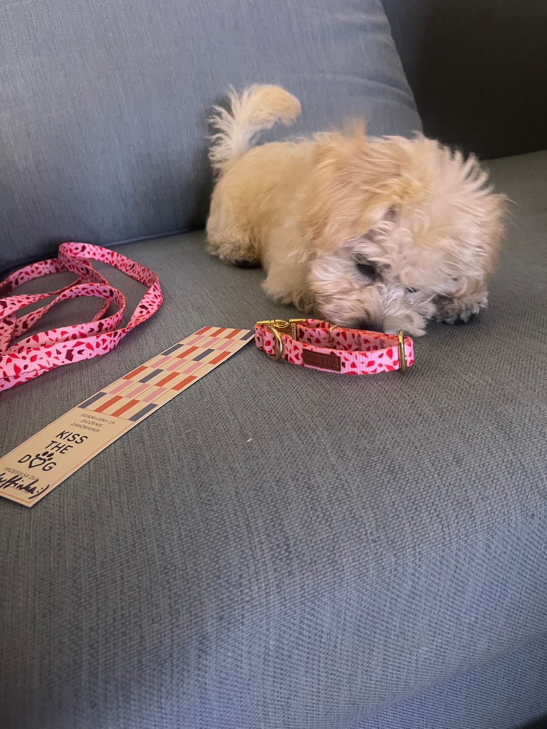 Customer photo review of Smycz miejska "Pink Terrazzo" - złote okucia