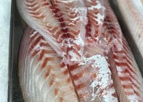 Customer photo review of 5KG Snapper Fillets (Skinned and Boned) Frozen
