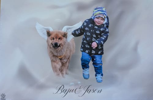 Customer photo review of Öl Pawtrait