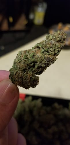 Customer photo review of Gary Payton THCA Flower