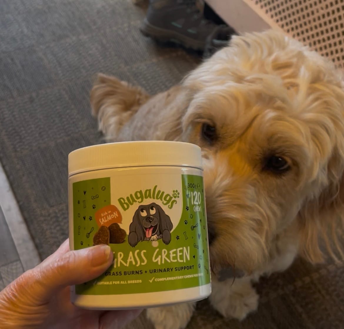 Customer photo review of Grass Green Supplement Chews for Dogs