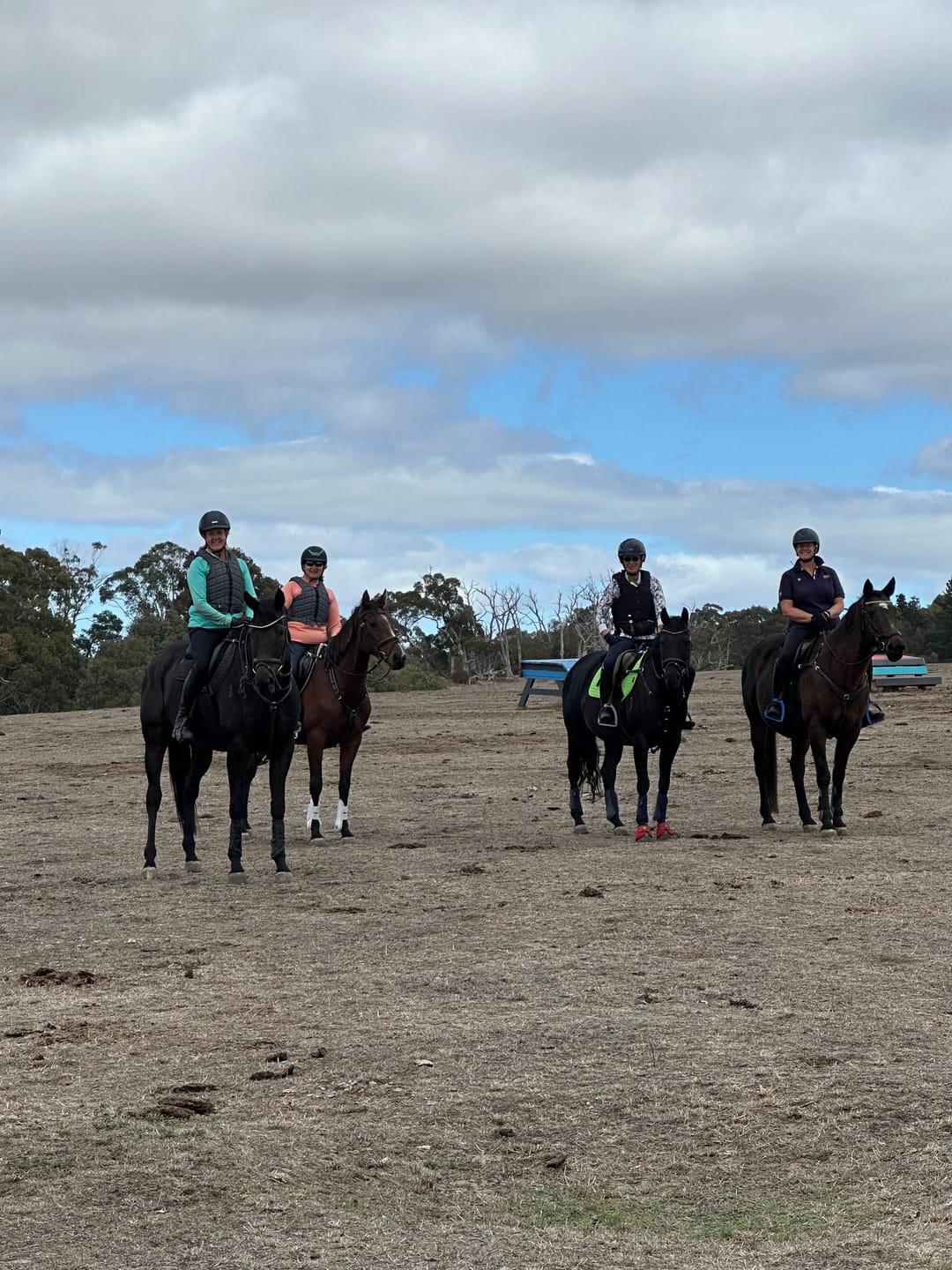 Customer photo review of LE Performance Jump Saddle Pad with Shims