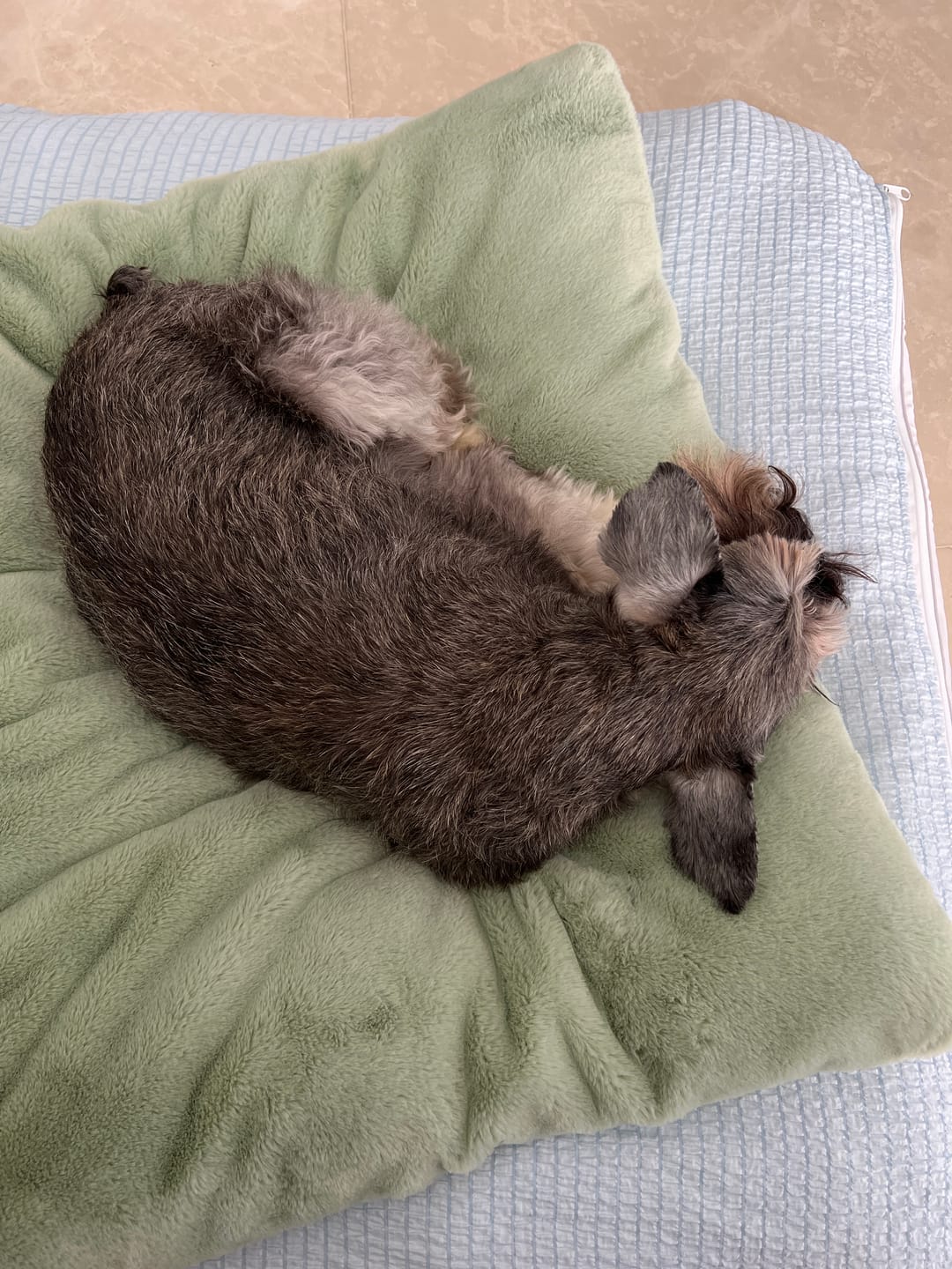 Customer photo review of Sleeping Blanket