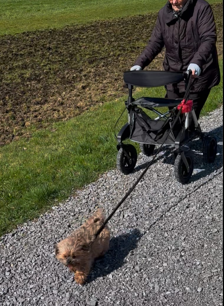 Customer photo review of Outdoor-Rollator Tabas (EXTRA LEICHT - 8,65 kg)