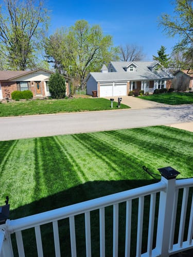 Customer photo review of GCI Turf 30-0-0 G