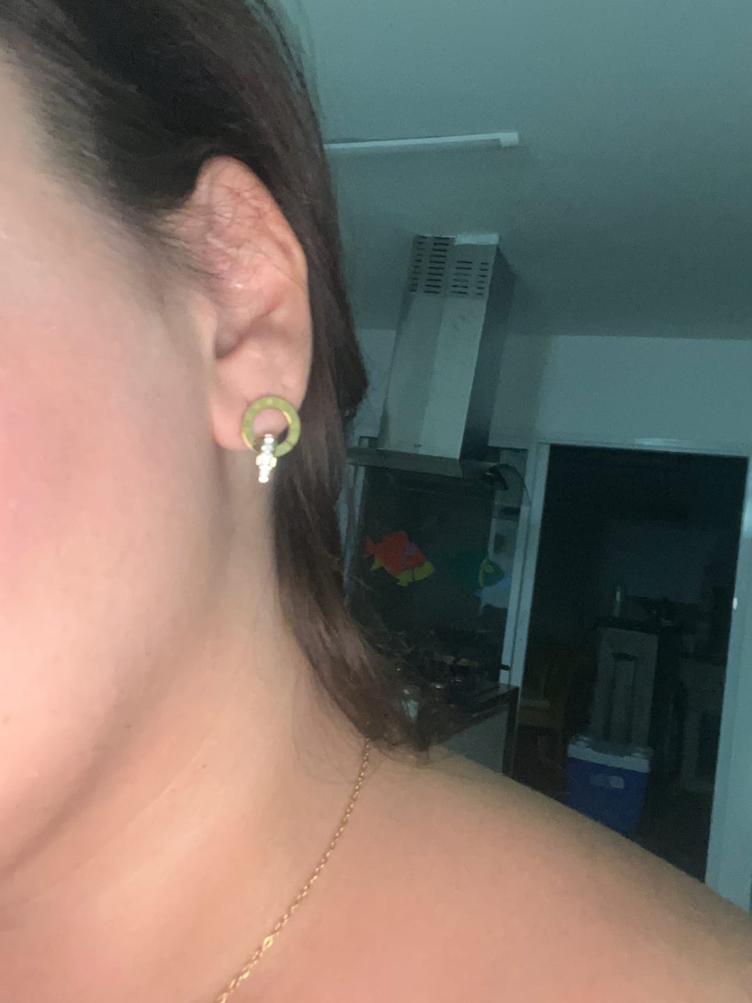 Customer photo review of Brinco Imperial Pedra Zircônia Banhado em Ouro 18K