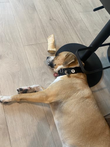 Customer photo review of Beef Cheek Rolls