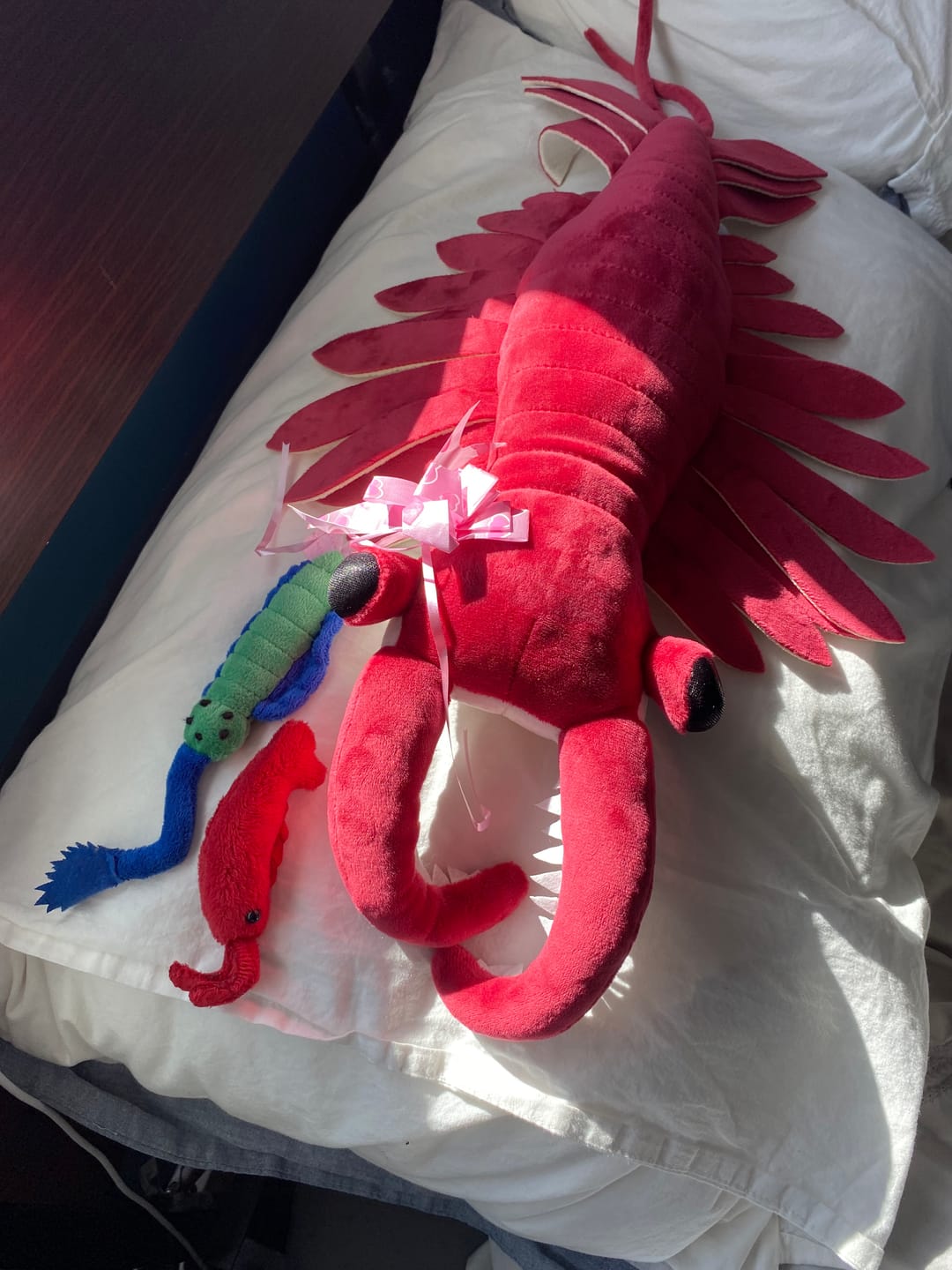 Customer photo review of Anomalocaris Arthropod Soft Stuffed Plush Toy