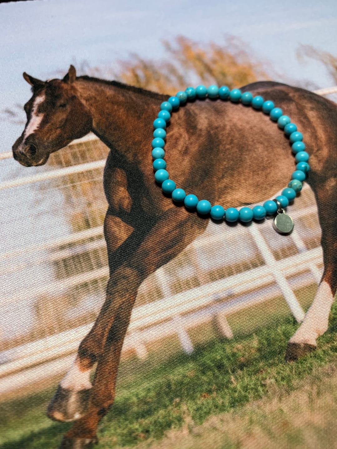 Customer photo review of Turquoise Bracelet Mini