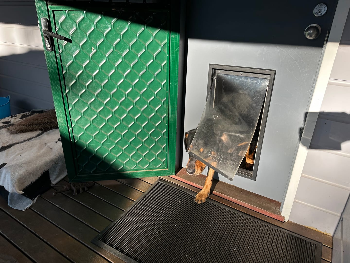 Customer photo review of Aluminium Premium Pet Door [Size: large] [Colour: Black]