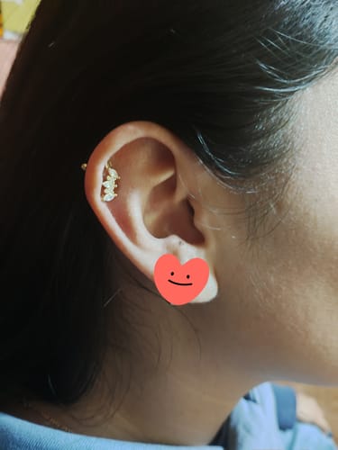 Customer photo review of Piercing Aide Plata925