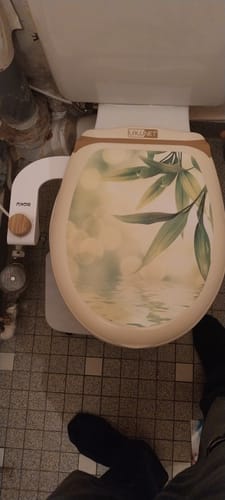 Customer photo review of Bidet BOKU