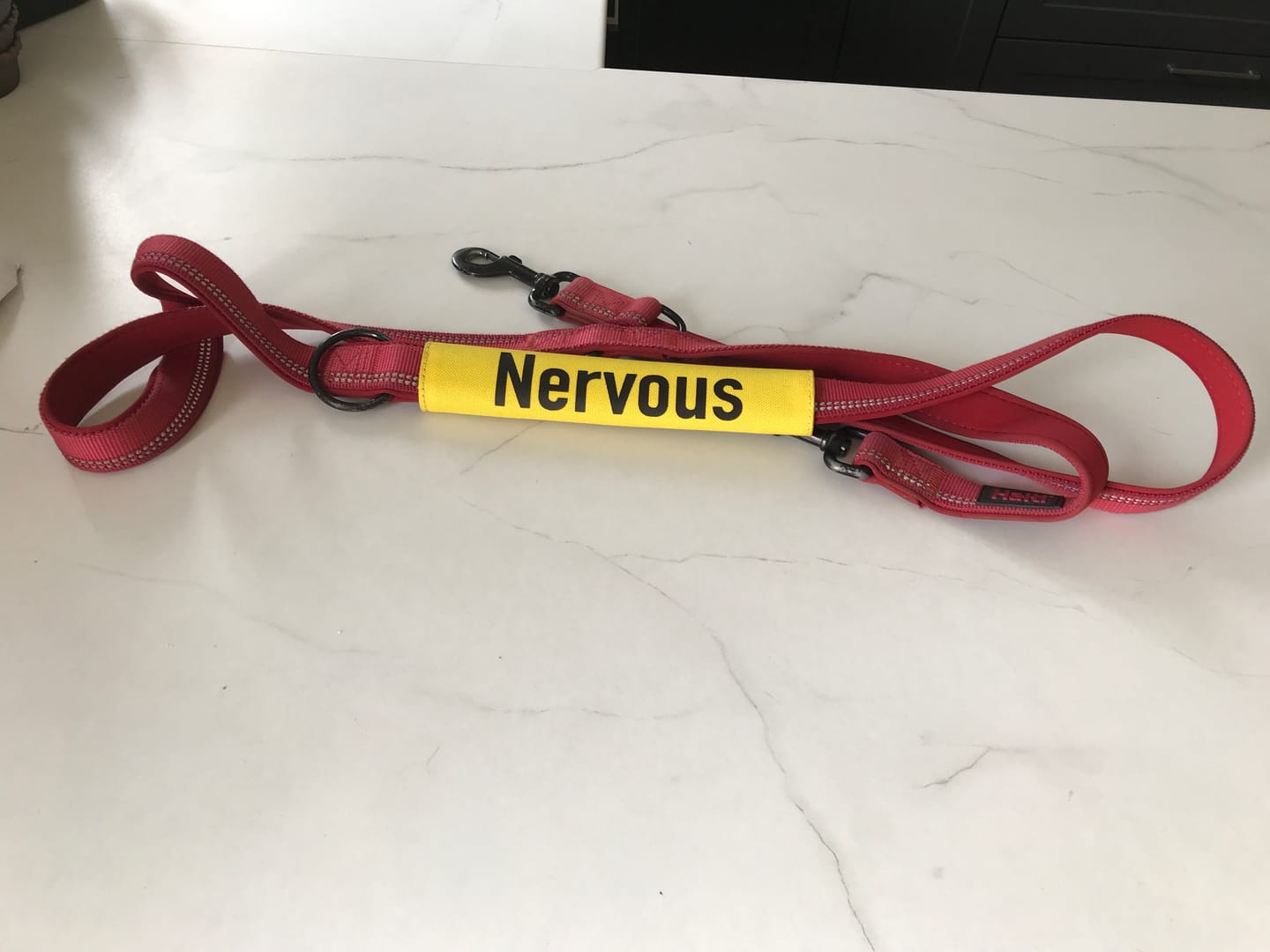 Customer photo review of Nervous Dog Yellow Lead Slip Cover