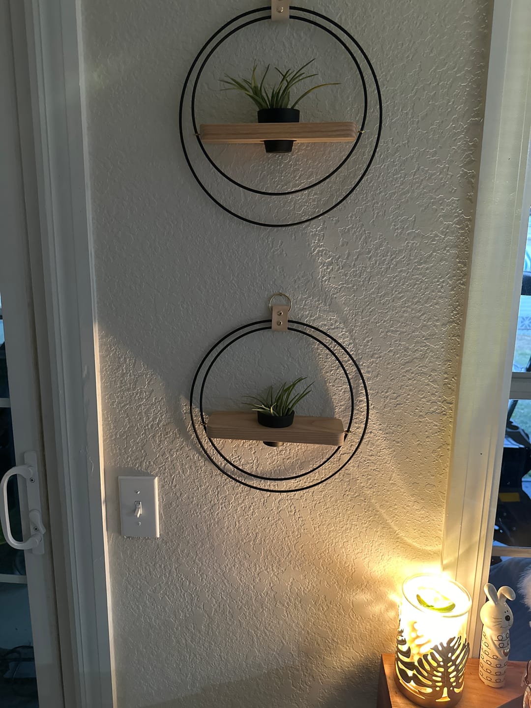 Customer photo review of Air Plant Shelf + Pot Duo