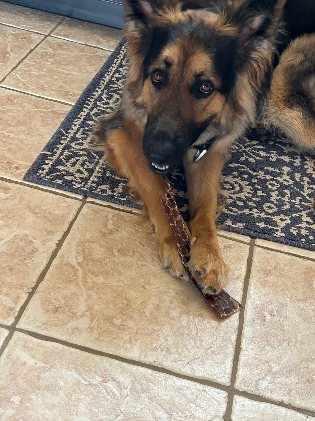 Customer photo review of 12 Inch Beef Jerky Strip