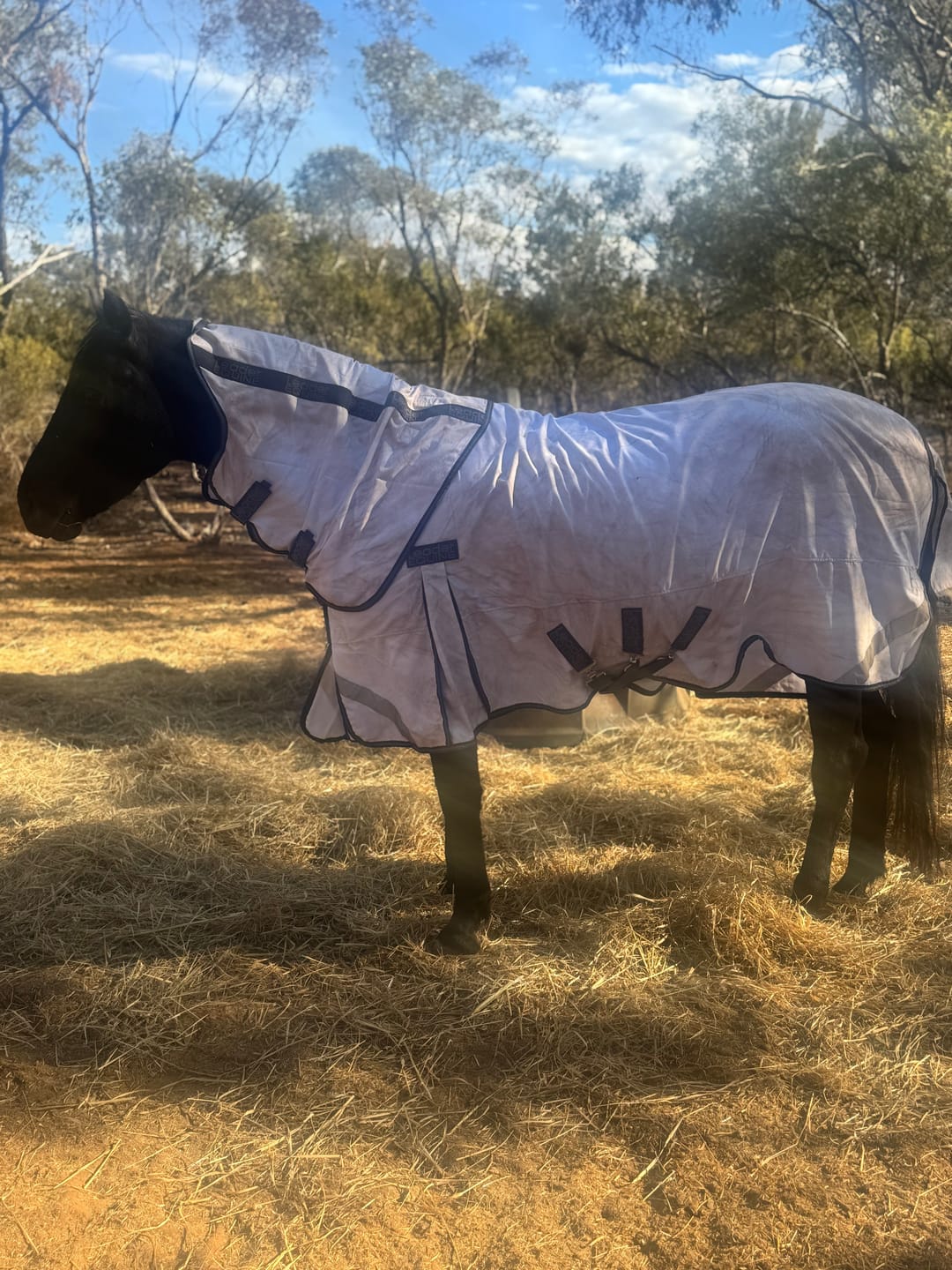 Customer photo review of LE Fieldsafe Summer Sheet