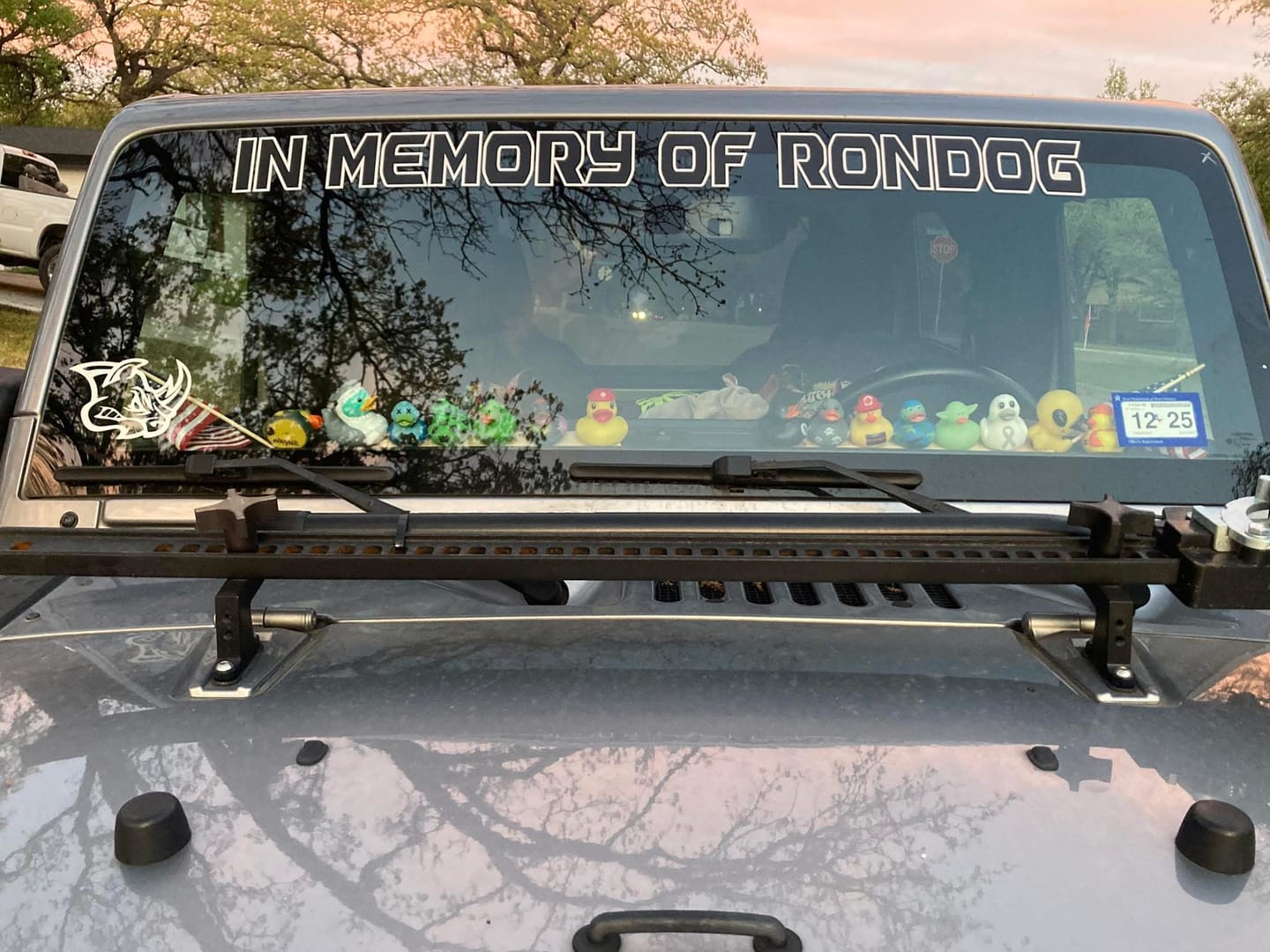 Customer photo review of Windshield Lettering