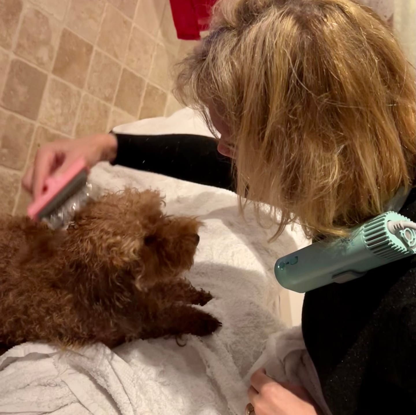 Customer photo review of AnimArtì MamaPù - Phon per Cani Ultra Leggero e Silenzioso - con Supporto da Collo per Mani Libere di Spazzolare - 1400W